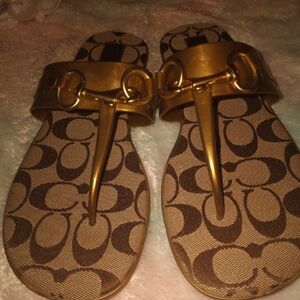 *Women's Coach Sandal's